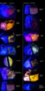 365nm Flashlight vs. 395nm