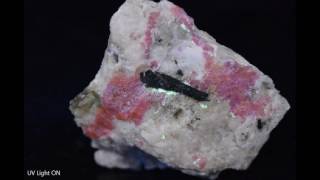 Greenland Sodalite Hackmanite - Quick Change Artist, Tenebrescent Champion